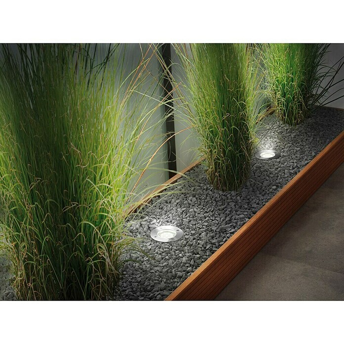 Paulmann Plug & Shine Foco para el suelo (3,6 W, Plateado, Ø x Al: 9,6 x 9,2 cm)