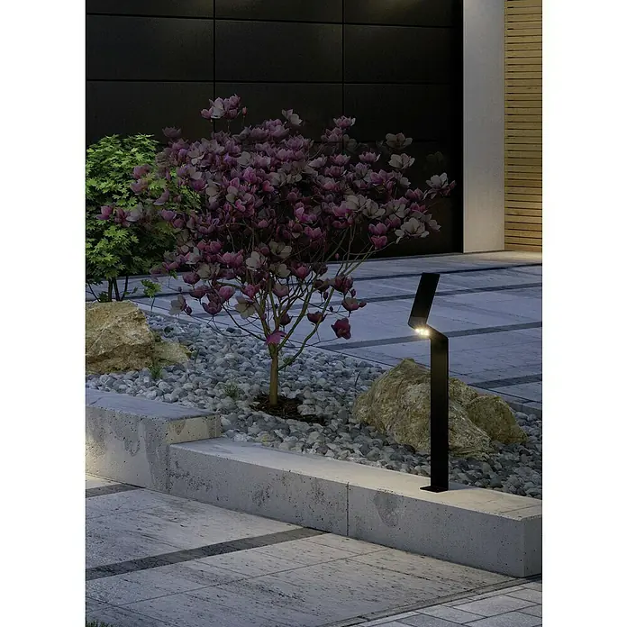 Paulmann Ilias LED-Außenwegleuchte - Warmweiß, IP44, Anthrazit - Schwarze LED-Gartenleuchte mit modernem Design beleuchtet einen Baum in einem angelegten Garten.