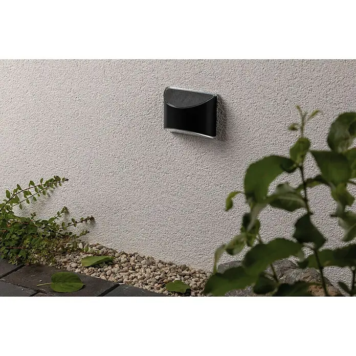 Paulmann Solar-Außenwandleuchte Elliot - 0,05 W, L x B x H: 5,3 x 10 x 8 cm, Anthrazit, IP44 - Nahaufnahme einer stilvollen schwarzen Außenwandleuchte mit silbernen Akzenten, montiert an einer strukturierten Wand neben üppigem Grün.