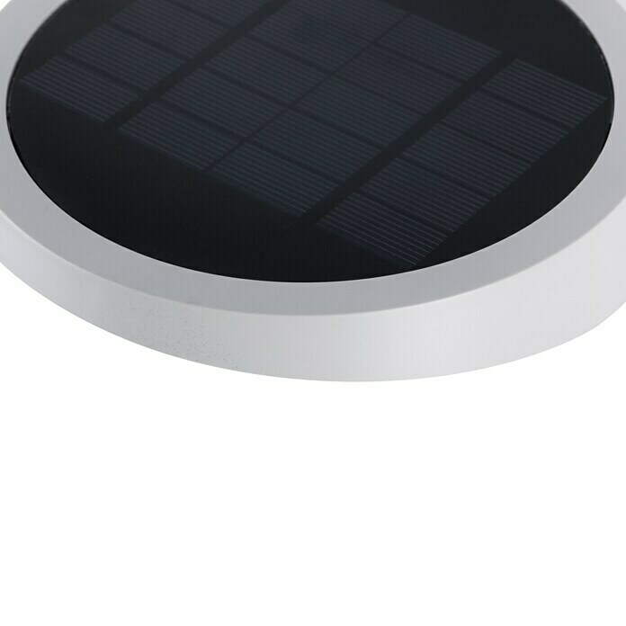 Paulmann Ryse LED-Solar-Außenwandleuchte (Bewegungsmelder, 1,2 W, Material: Kunststoff, Warmweiß, Weiß)