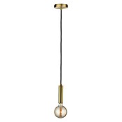 Paulmann Pendelleuchte Kine (20 W, Gold, Höhe: 150 cm)