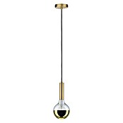 Paulmann Pendelleuchte Kine (20 W, Gold, Höhe: 150 cm)