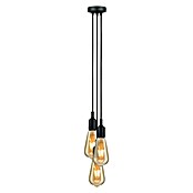 Paulmann Neordic Viseća svjetiljka (3 x 20 W, Crna, Visina: 200 cm)