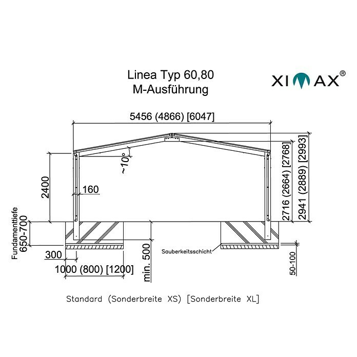 Ximax Carport LINEA M 80 (4,9 x 5,4 m, Einfahrtshöhe: 2,2 m, Edelstahloptik, Schneelast: 100 kg/m²)