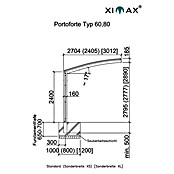 Ximax Carport Portoforte 80 (4,9 x 2,7 m, Einfahrtshöhe: Max. 2,2 m, Edelstahloptik, Schneelast: 100 kg/m²)