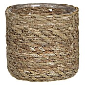 Mica Decorations Košara za rastline Atlantic  (Zunanje dimenzije (Ø x V): 12 x 12 cm, Naravni materiali, Rjava) | Okrasni cvetlični lonci | Cvetlični lonci | Posode za rastline | Vrt in prosti čas | Izdelki | BAUHAUS