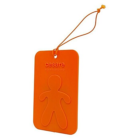 Mr & Mrs Fragrance Cesare Card Lufterfrischer (Orange Energy)