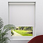 Expo Ambiente Zatemnitveni rolo  (Š x V: 140 x 275 cm, Bele barve, Univerzalen) | 6443 - Textil-Rollos | HDDA - Fenster-Sonnenschutz | HDD - Sonnenschutz | HD - Ambiente | H - Innendeko/Farben | BAUHAUS