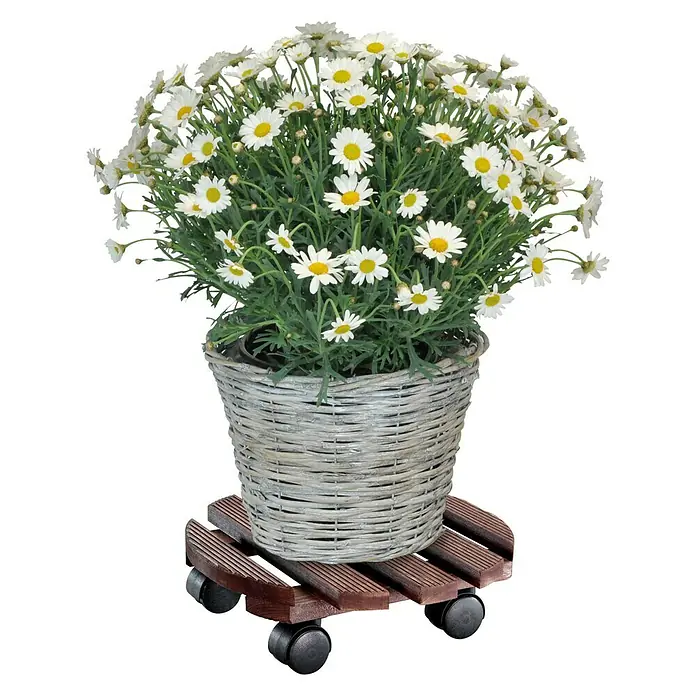 Wagner System Pflanzenroller Andaluz - Holz, Palisander, Max. Belastung: 100 kg - Ein Korb mit Gänseblümchen auf einem hölzernen Pflanzenroller. Dekorativ und praktisch für den Innenbereich.