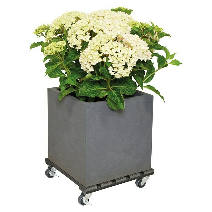 Gardol Soporte con ruedas para plantas (29 x 29 cm, WPC, Antracita, Carga máx.: 80 kg)