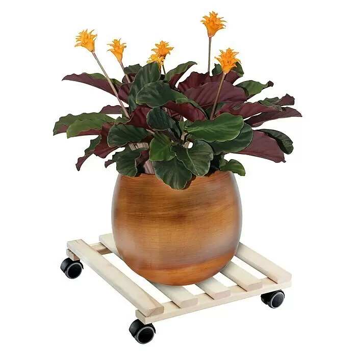 Wagner System Pflanzenroller Paletti - 34 x 34 cm, Max. Belastung: 100 kg - Anwendungsbeispiel