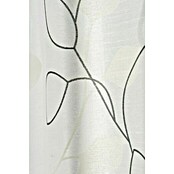 Elbersdrucke Schlaufenschal Beauty (140 x 255 cm, 100 % Polyester, Beige)