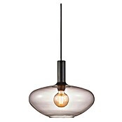 Nordlux Alton Pendellamp (60 W, Zwart, Hoogte: 30 cm)