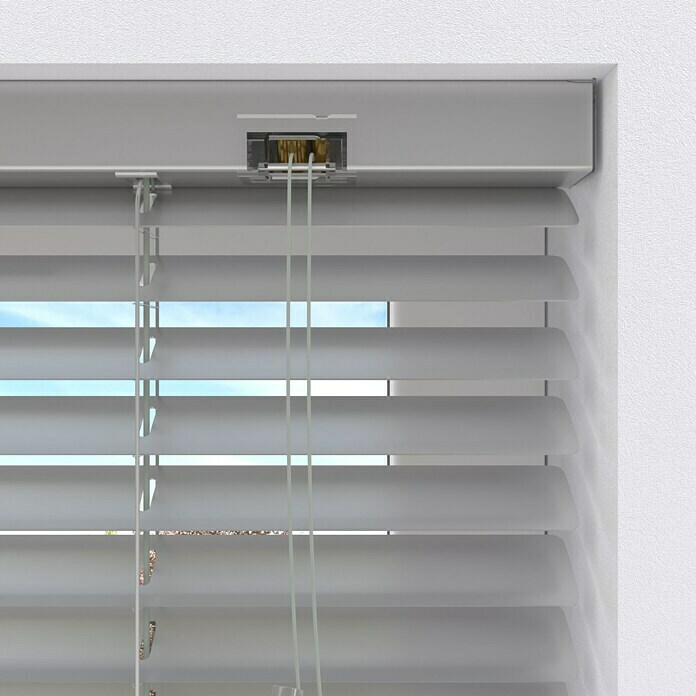 Expo Ambiente Žaluzije  (Š x V: 90 x 250 cm, Srebrne barve, Aluminij) | 6441 - Alu Jalousien | HDDA - Fenster-Sonnenschutz | HDD - Sonnenschutz | HD - Ambiente | H - Innendeko/Farben | BAUHAUS