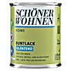 Schöner Wohnen DurAcryl Buntlack (Limettengrün, 125 ml, Glänzend)
