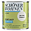 Schöner Wohnen DurAcryl Buntlack (Telegrau, 375 ml, Glänzend)