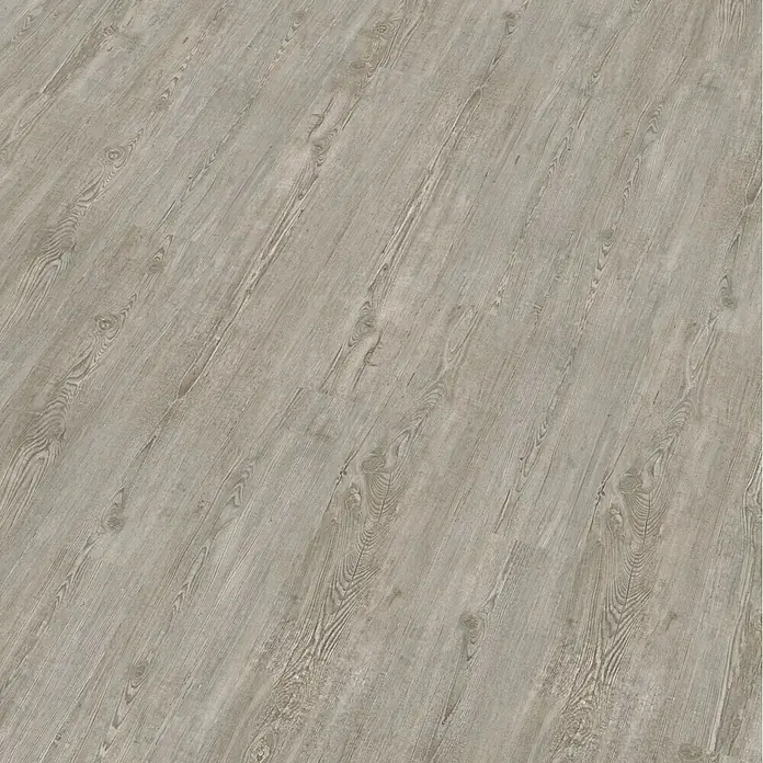 Decolife Vinylboden Comfort - Winter Pine, Landhausdiele, 1.220 x 185 x 10,5 mm - Nahaufnahme eines Laminatbodens mit hellgrauer Holzmaserung, der ein modernes, stilvolles Ambiente ausstrahlt.