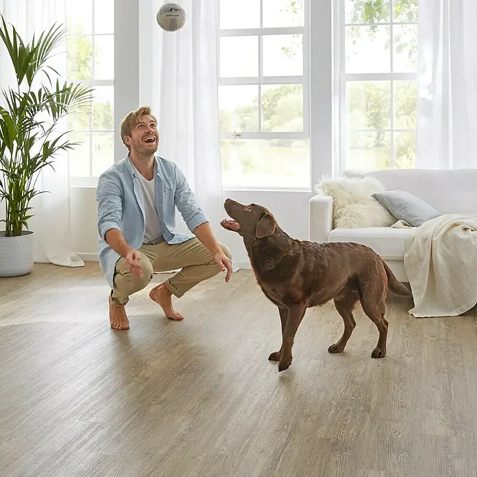 Decolife Vinylboden Comfort - Winter Pine, Landhausdiele, 1.220 x 185 x 10,5 mm - Ein Mann spielt mit seinem Hund in einem hellen Wohnzimmer mit einem stilvollen, hellen Holzboden. Der Boden verleiht dem Raum Wärme.