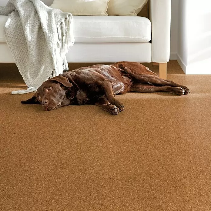 Corklife Studiostyle Korkboden - Beja, 905 x 295 x 10,5 mm - Stimmungsaufnahme