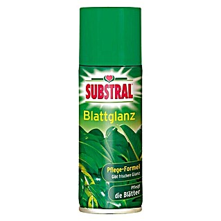 Substral Pflanzenhilfsmittel Blattglanz (600 ml, Geeignet für: Immergrüne Pflanzen)