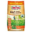 Substral Naturen Rasendünger 6 in 1 (20 kg)