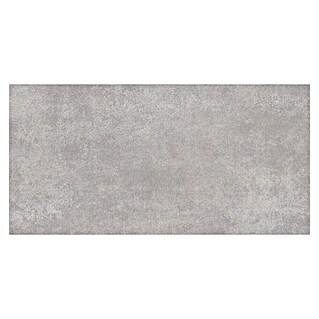 Ambiente by Palazzo Feinsteinzeugfliese (60 x 120 cm, Grau, Matt)