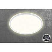 Prisma Leuchten LED-Panel rund (22 W, Weiß, Ø x H: 42 x 2,9 cm)