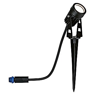 Paulmann Plug & Shine Foco LED de jardín (Estaca, Altura: 26 cm)