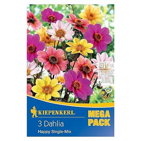 Kiepenkerl  Blumensamen Dahlie Happy Single Mix
