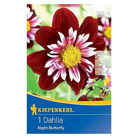 Kiepenkerl  Herbstblumenzwiebeln