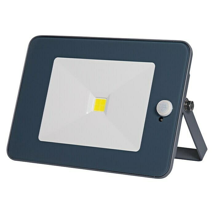 Profi Depot LED reflektor sa senzorom pokreta (S 1 žaruljom, 10 W, Sive boje)