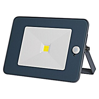 Profi Depot LED senzorski reflektor (S 1 žaruljom, 10 W, Sive boje)