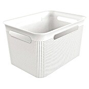 Rotho Aufbewahrungsbox Brisen (L x B x H: 36 x 26,2 x 21,1 cm, Kunststoff, Weiß) | BAUHAUS