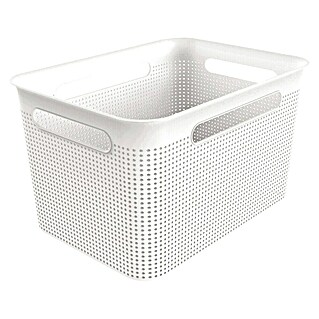 Rotho Aufbewahrungsbox Brisen (L x B x H: 36 x 26,2 x 21,1 cm, Kunststoff, Weiß)