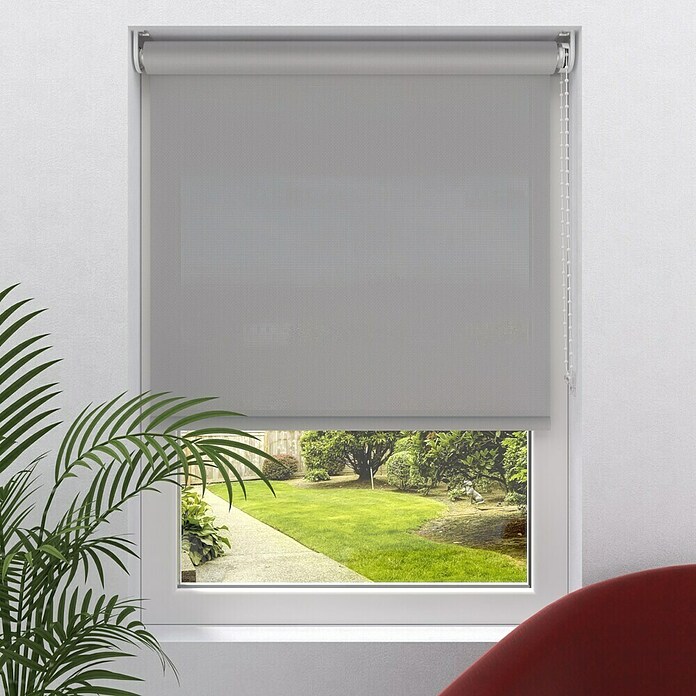 Rollo Screen (B x H: 80 x 190 cm, Silber, Uni) | BAUHAUS