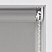 Rollo Screen (B x H: 80 x 190 cm, Silber, Uni) | BAUHAUS