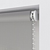 Rollo Screen (B x H: 80 x 190 cm, Silber, Uni) | BAUHAUS
