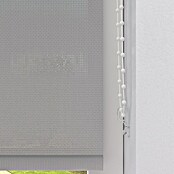 Rollo Screen (B x H: 80 x 190 cm, Silber, Uni) | BAUHAUS
