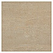 Feinsteinzeugfliese Top Stone (60 x 60 cm, Beige, Matt) | BAUHAUS