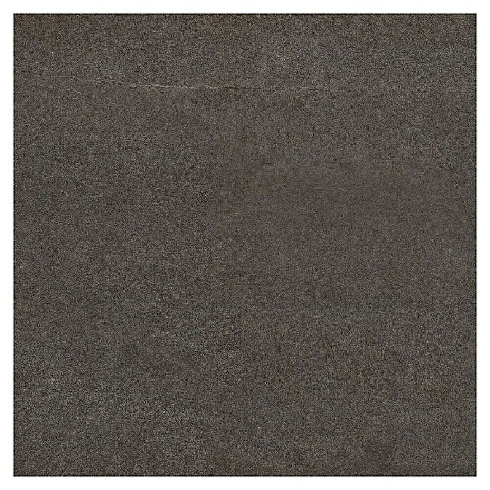 Feinsteinzeugfliese Top Stone (60 x 60 cm, Anthrazit, Matt) | BAUHAUS