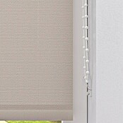 Expo Ambiente Rolo  (Š x V: 120 x 275 cm, Krem, Univerzalen, Prepustnost za dnevno svetlobo) | 6443 - Textil-Rollos | HDDA - Fenster-Sonnenschutz | HDD - Sonnenschutz | HD - Ambiente | H - Innendeko/Farben | BAUHAUS