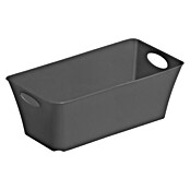 Rotho Aufbewahrungsbox Living (L x B x H: 25,2 x 13,4 x 9 cm, Kunststoff, Schwarz)