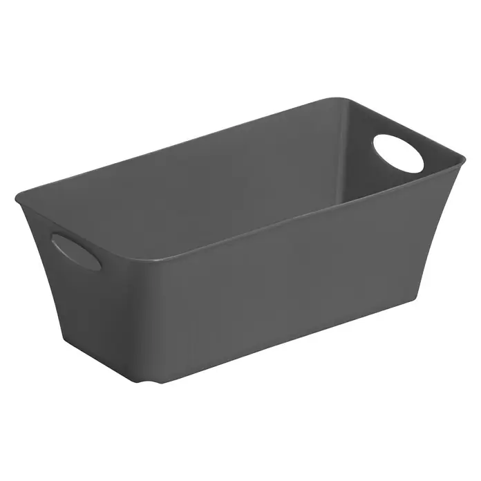 Rotho Aufbewahrungsbox Living - L x B x H: 25,2 x 13,4 x 9 cm, Kunststoff, Anthrazit - Grauer Kunststoffbehälter mit Griffen zur Aufbewahrung, ideal für Organisation und Ordnung im Haushalt.