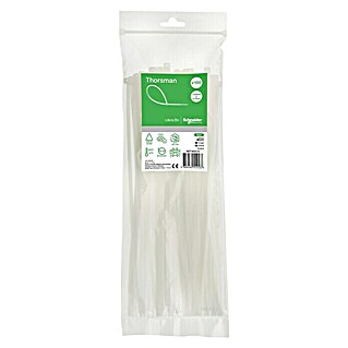 Schneider Electric Vezice za kable (300 x 4,8 mm, 100 kos)