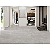 Feinsteinzeugfliese Bayona Silver (60 x 60 cm, Grau, Glänzend) | BAUHAUS