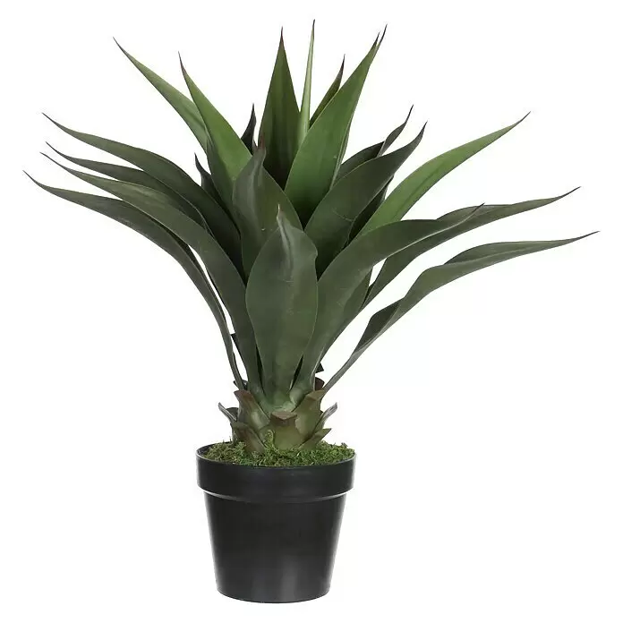 Kunstpflanze Agave - 60 cm, Grün, Kunststoff