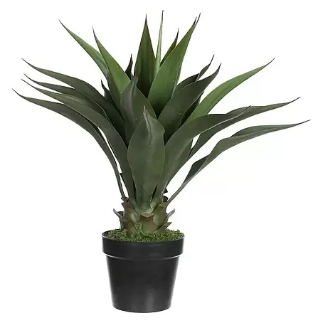 Kunstpflanze Agave