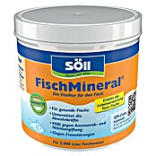 Söll Teichpflegemittel FischMineral (500 g)