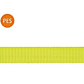 Stabilit Gurtna za rolete po dužnom metru (Opteretivost: 300 kg, Širina: 25 mm, Poliester, Žuta)