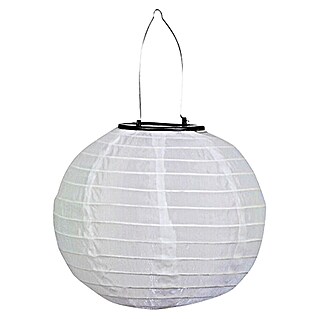 BAUHAUS Solarhanglamp Lampion (0,06 W, Wit, IP44, Diameter: 20 cm)
